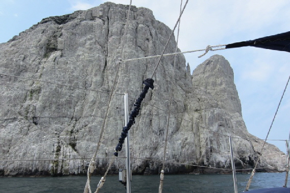 Malpelo